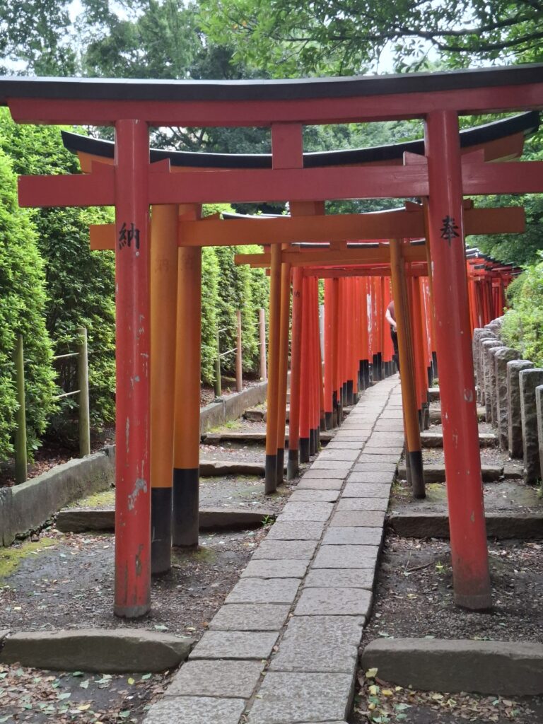 Japonia, W kraju kwitnącej wiśni, zdjęcie z wyjazdu Akademii Podróży