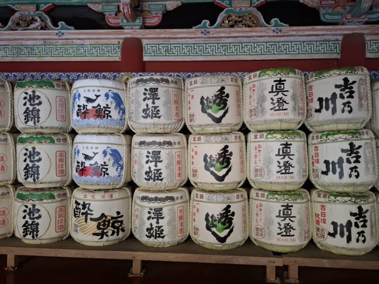 Japonia, W kraju kwitnącej wiśni, zdjęcie z wyjazdu Akademii Podróży