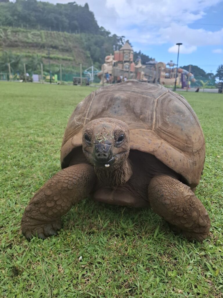 Mauritius, Perła Oceanu, zdjęcie z wyjazdu Akademii Podróży